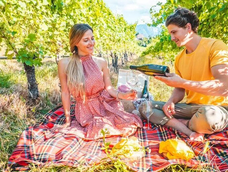 Pic Nic - Experience the vineyard
