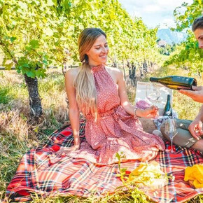 Pic Nic - Experience the vineyard