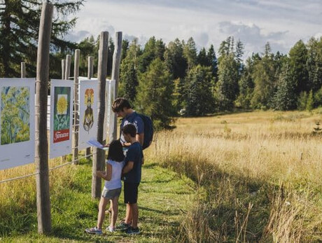 Science snacks - Viote Alpine Botanical Garden - Family activities