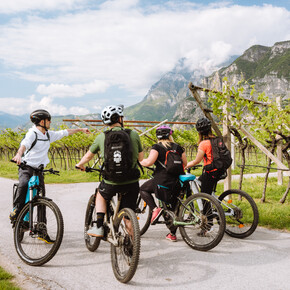 Tour del Giro del Vino 50 with Guide Bike