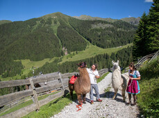 Trekking con i Lama