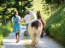 Trekking con i Lama