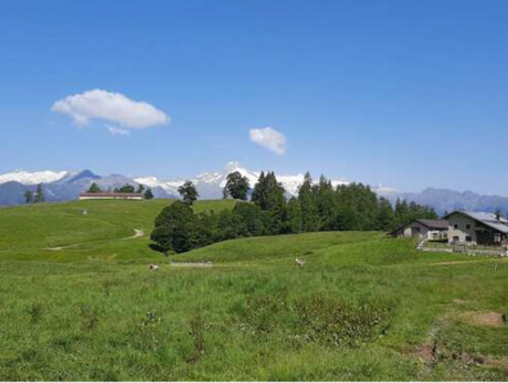 Wellness Hiking: Exploring Alpine Pastures