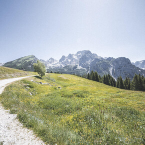 Trekking in Val Algone