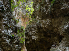 Rio Secco via ferrata with Alpine Guide