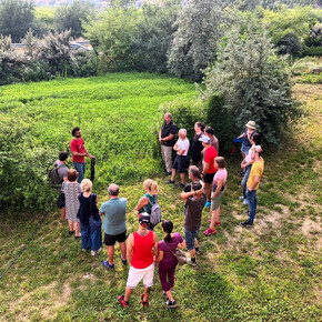 Visita del forest garden