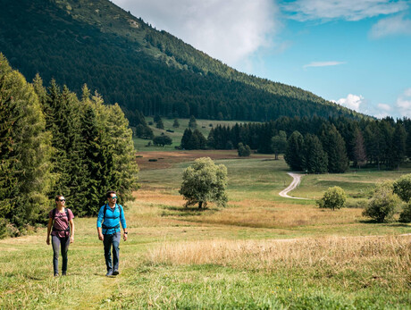 Visita naturalistica della conca delle Viote