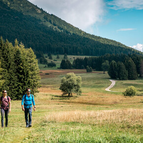 Visita naturalistica della conca delle Viote