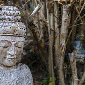 Vivi Tesino: Meditazione con il monaco
