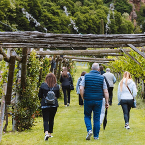 Wine Trekking Endrizzi - Endrizzi Winery