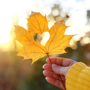 Laboratorio Autunno