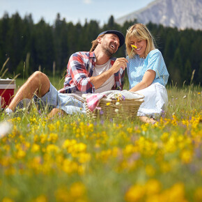 Picnic prato