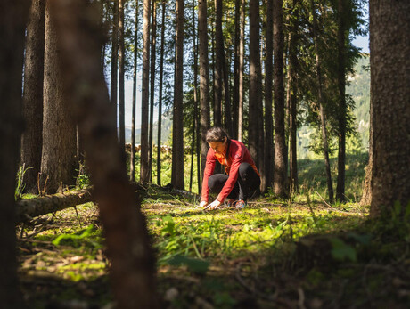 Forest bathing - Katiuscia Rasom