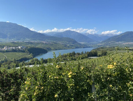 Cena tra i filari di mele