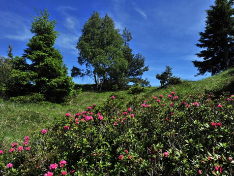 Guided trekking excursion: sentièr de L'Argià