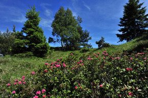 Guided trekking excursion: sentièr de L'Argià