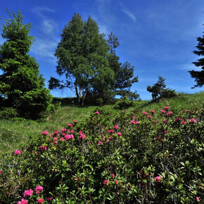 Guided trekking excursion: sentièr de L'Argià