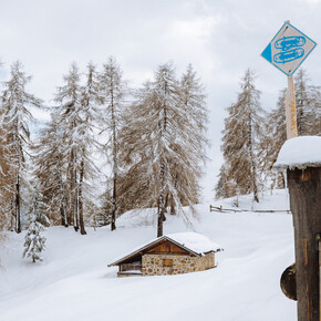 Among the Bolentina alpine diaries