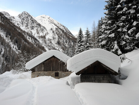 Le alte quote innevate: la magia del Parco 