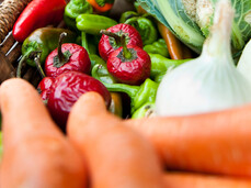 The Farmer’s Market in Cogolo