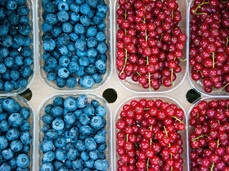 The Farmer’s Market in Cogolo