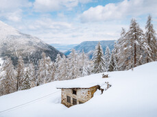 Among the Bolentina alpine diaries