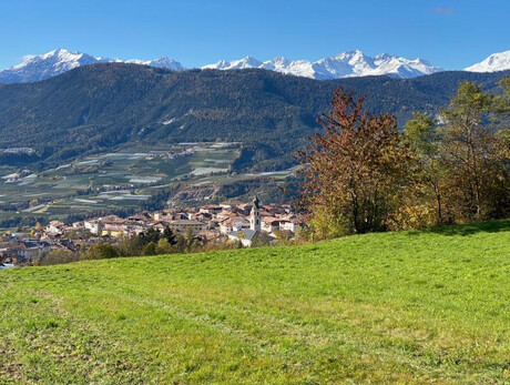 Costruisci un nido per scoiattoli... in tedesco!