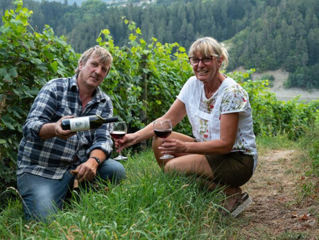 Degustazione vini alla Cantina Sperdossi