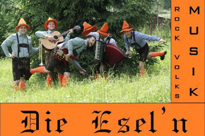 Die Esel'n Folk Rock Band