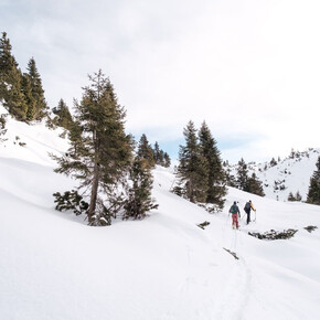 The picture shows two people ski touring on a snowy path, surrounded by snow-covered slopes and scattered trees. The sky is clear with a slight veiling, and the landscape presents a calm and natural atmosphere.