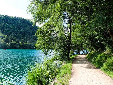 Lake Levico, a treasure of biodiversity