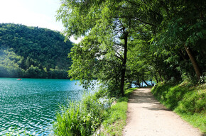 Lake Levico, a treasure of biodiversity