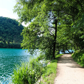 Lake Levico, a treasure of biodiversity