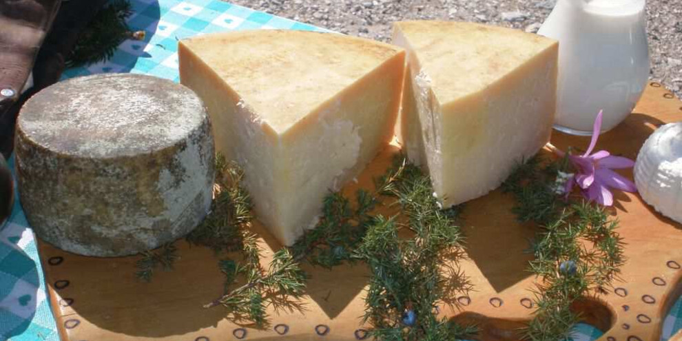 Alpine cheese competition