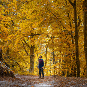  Foliage and flavours of Monte Baldo 