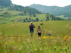  Marcia sul Pasubio 