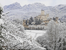  Weihnachten im Schloss 