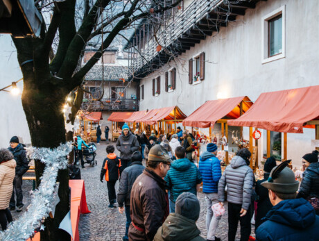  "Terra Natale", Native land 