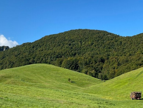  Un Bosco di Libri 