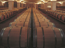  Visit and wine tasting at San Leonardo Estate 