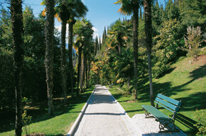 Arcyksiążęcy Park Arboretum 