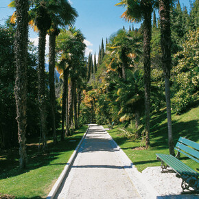 Arcivévodský park Arboreto 