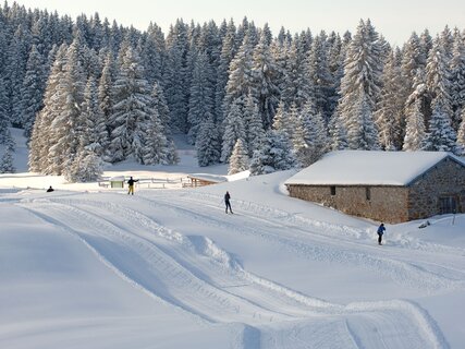 Folgaria - Langlaufzentrum Passo Coe 