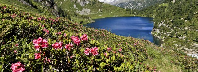 Adamello Brenta Nature Park