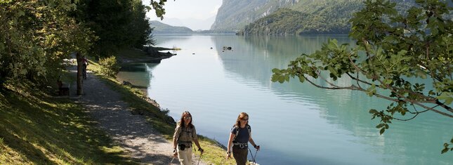 Relaxing walk along the lake shore