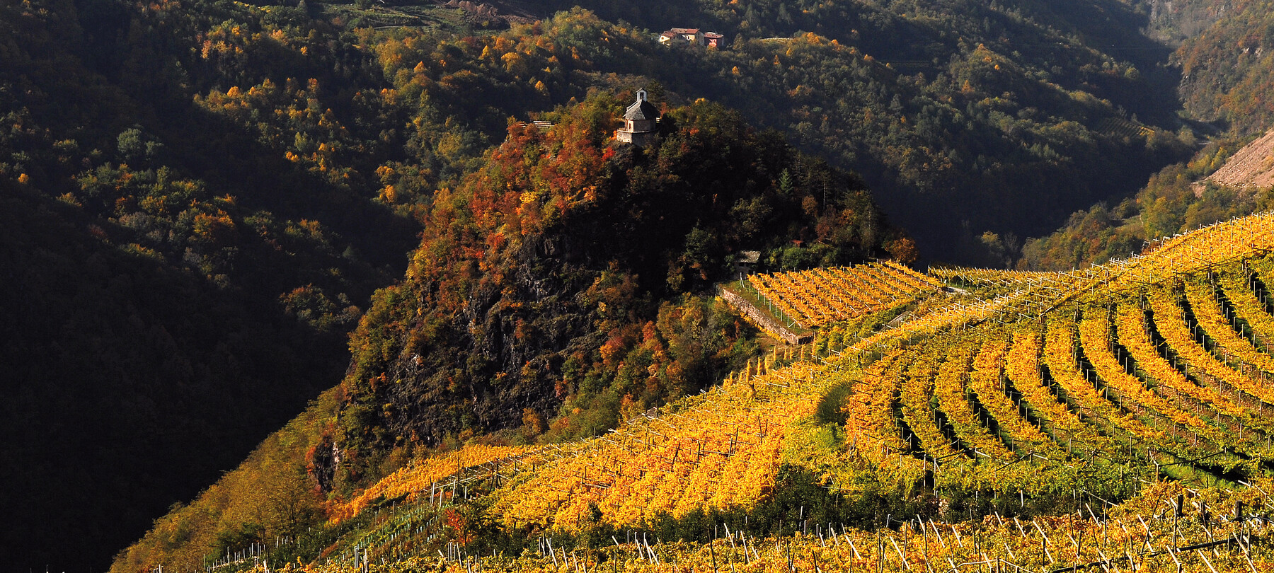 Val di Cembra - San Leonardo - Panorama - Vigneti - Foliage
