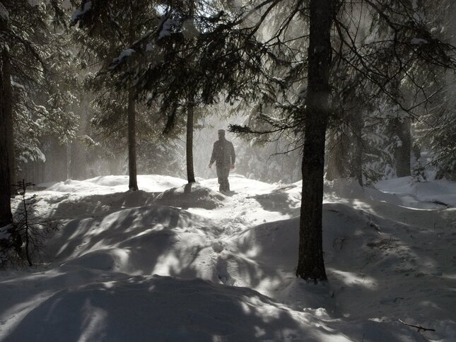 custode forestale nella foresta di Paneveggio