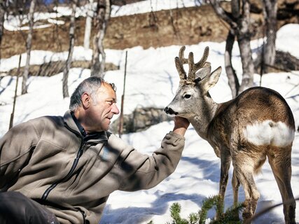 Val di Sole, Pejo, Rabbi - Guardia parco con capriolo
