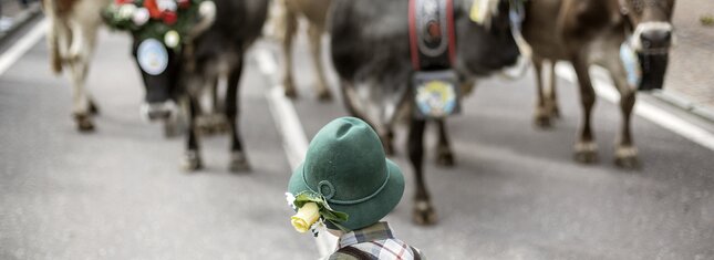 In montagna i bambini si divertono e stanno in contatto con la natura