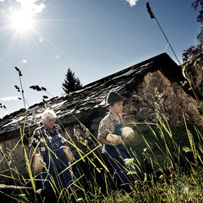 Valsugana - Roncegno Terme - Localit